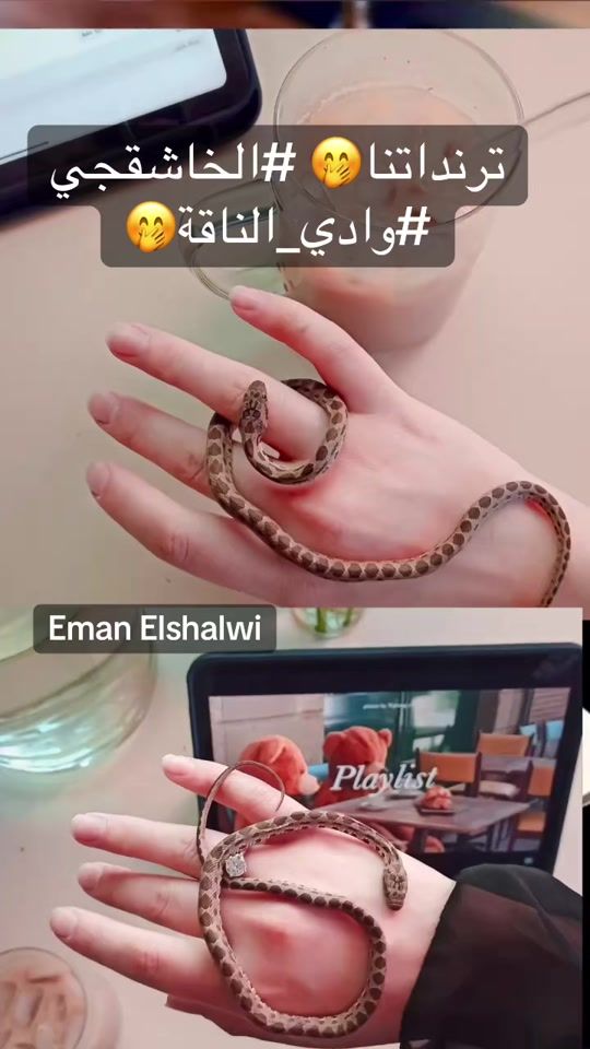 TikTok video thumbnail by eman_shalwi