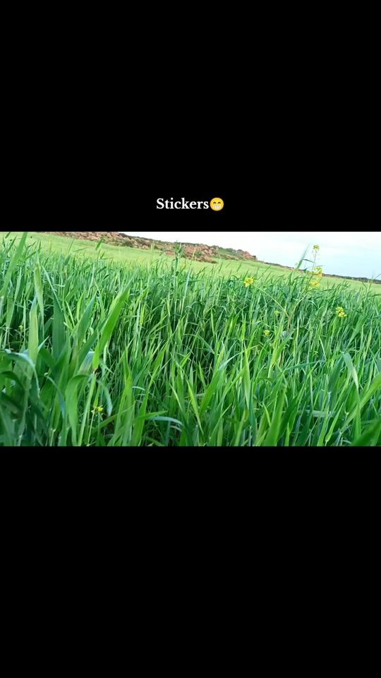 TikTok video thumbnail by nasro_no_20