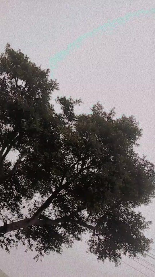 TikTok video thumbnail by wada.barnd