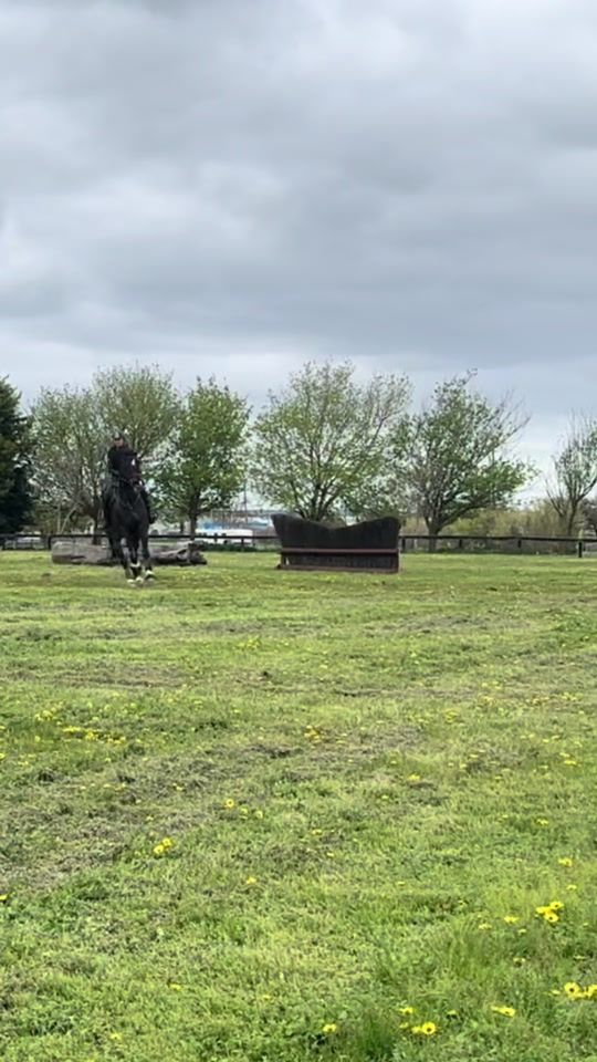 TikTok video thumbnail by eventing_appy1
