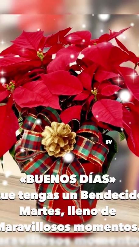 TikTok video thumbnail by pattyparedes18