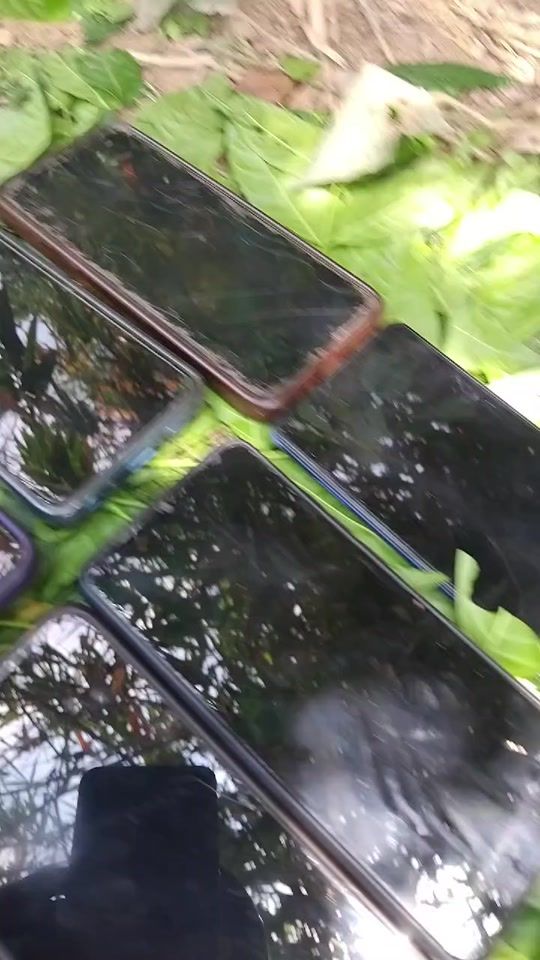 TikTok video thumbnail by user4187424884573