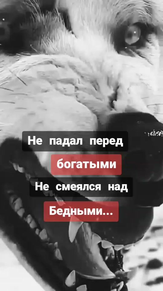 TikTok video thumbnail by _ronin_77