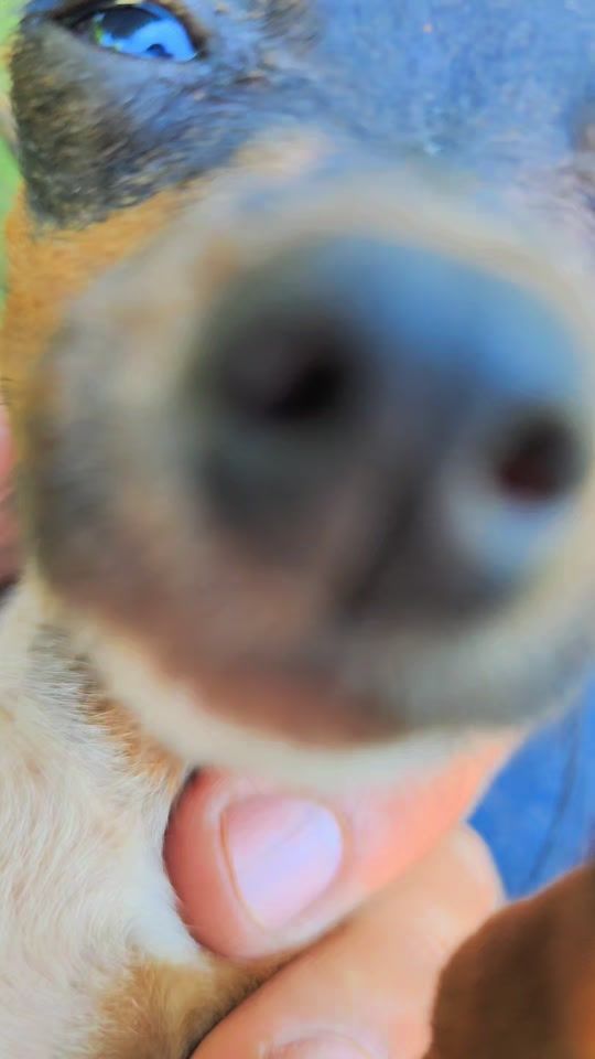 TikTok video thumbnail by genarososa67