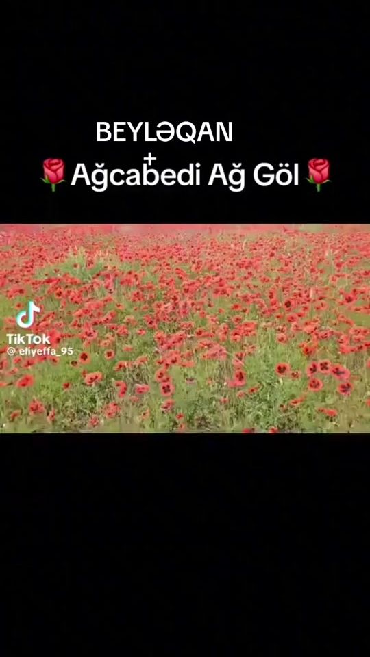 TikTok video thumbnail by abbasov.94