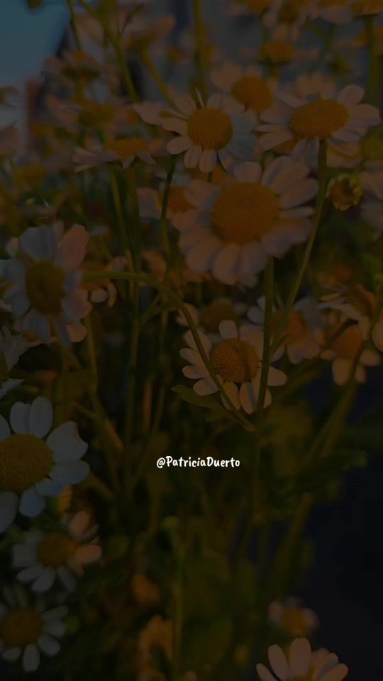 TikTok video thumbnail by patricia.duerto