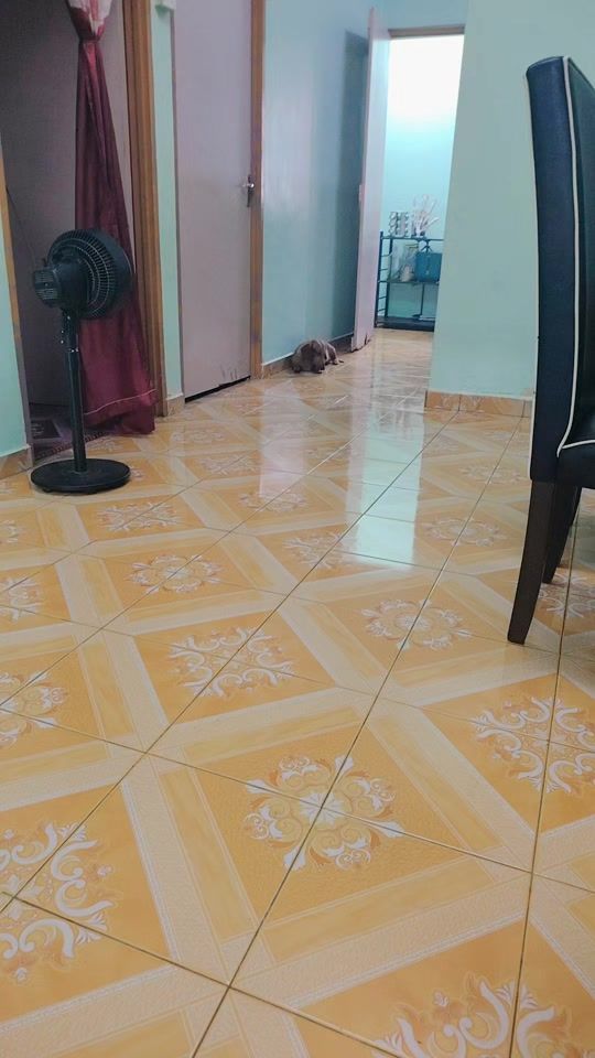 TikTok video thumbnail by sastik2903