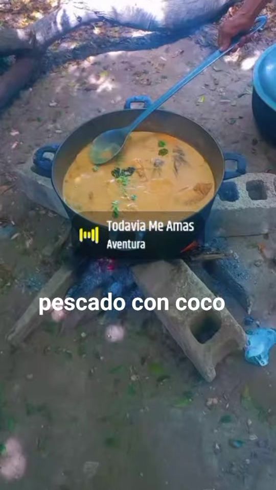 TikTok video thumbnail by mariaamilca6