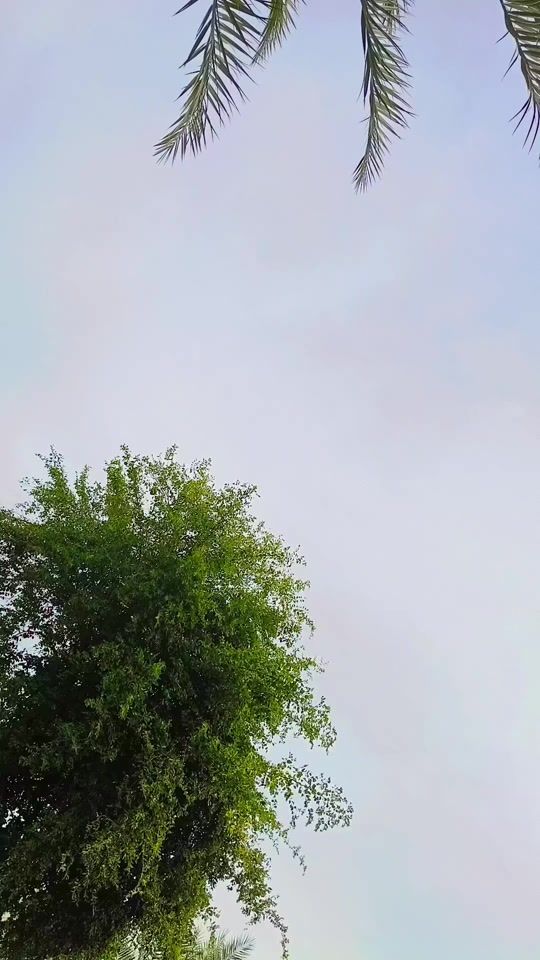 TikTok video thumbnail by dorna260