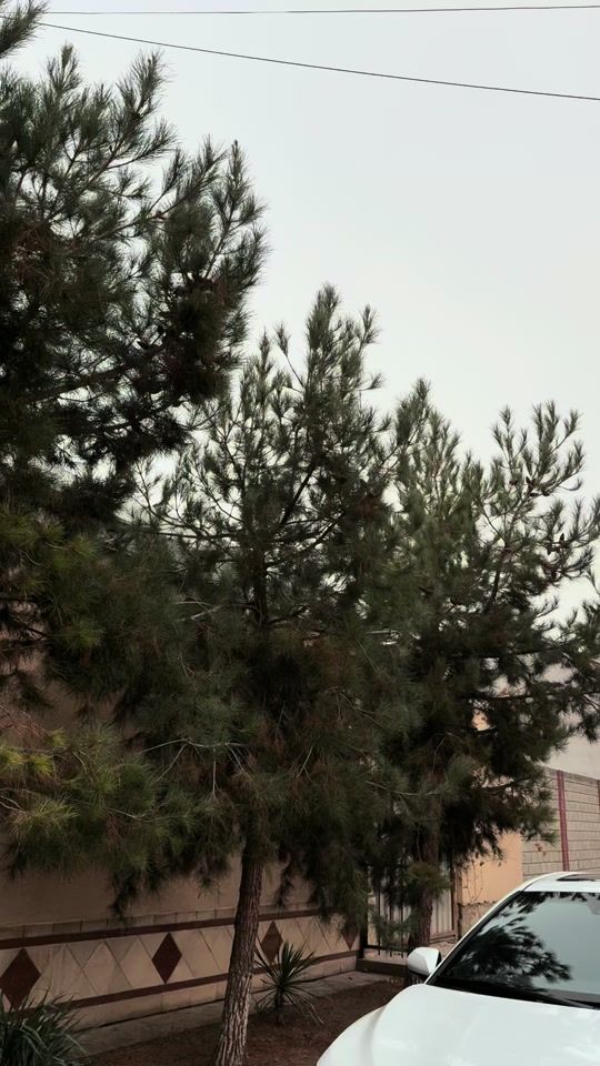TikTok video thumbnail by 7777kbb