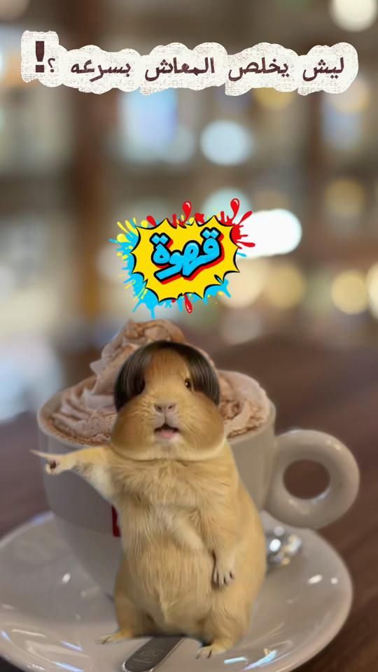 TikTok video thumbnail by omkoooki