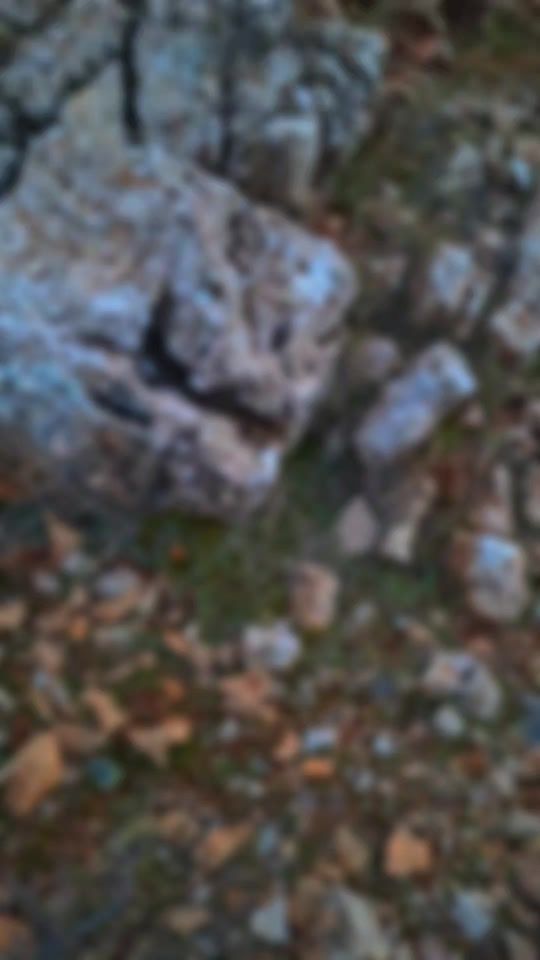 TikTok video thumbnail by fadi_alaeddine