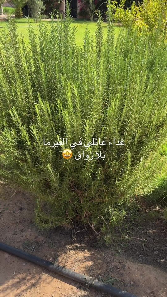 TikTok video thumbnail by simplysabeel