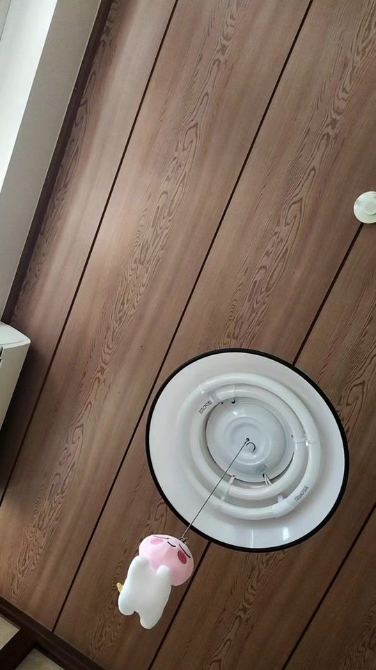 TikTok video thumbnail by jcpsumida