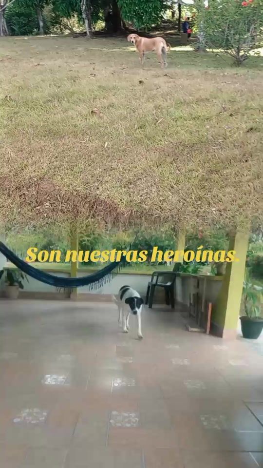 TikTok video thumbnail by ledezma272