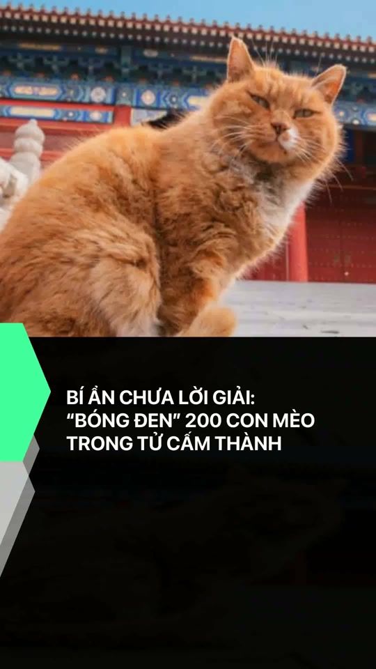 TikTok video thumbnail by mutex_official