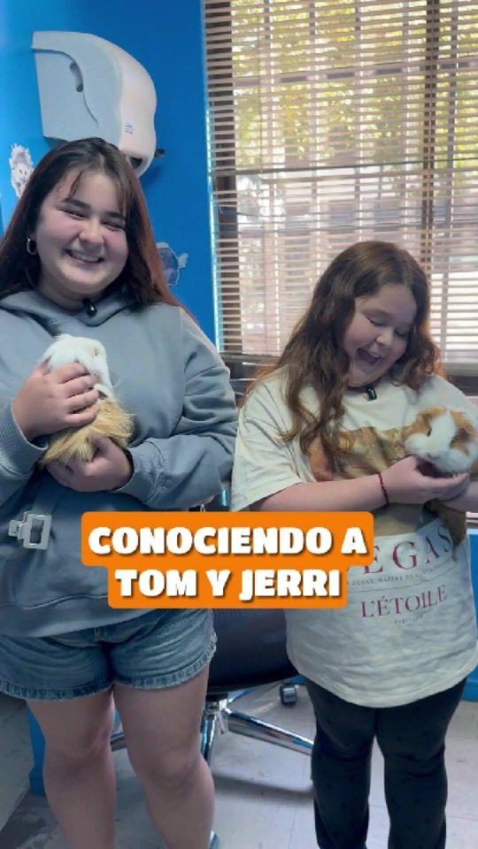 TikTok video thumbnail by tusmascotas