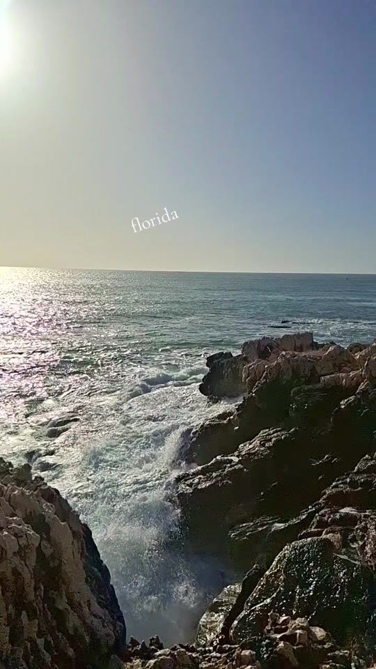 TikTok video thumbnail by floridaflorida39