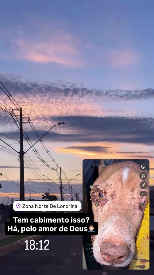 TikTok video thumbnail by deividwisley1