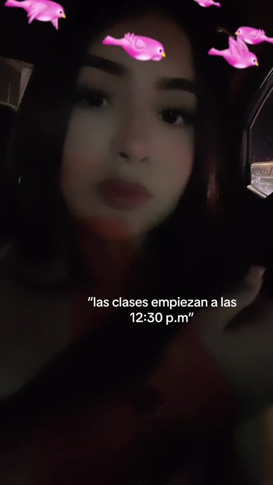TikTok video thumbnail by 99laurisss_