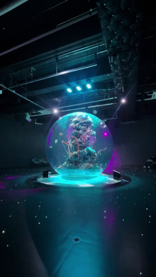 TikTok video thumbnail by pura_mon0908