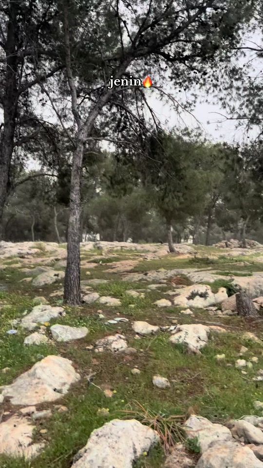TikTok video thumbnail by badr._.kmail