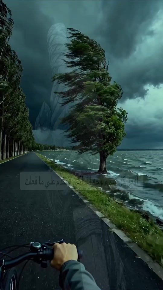 TikTok video thumbnail by tamermhammadjadallah
