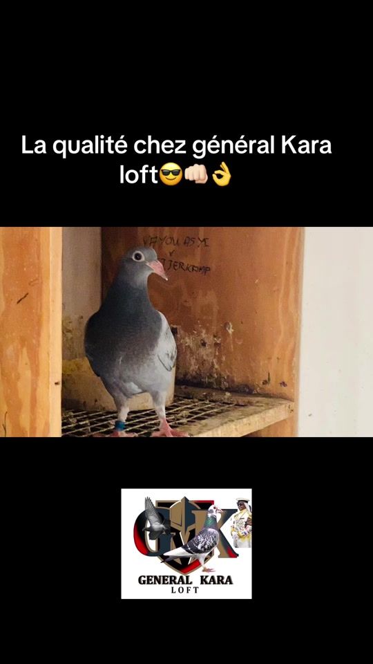 TikTok video thumbnail by general_kara_loft