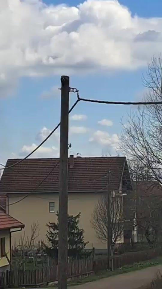TikTok video thumbnail by rizla593