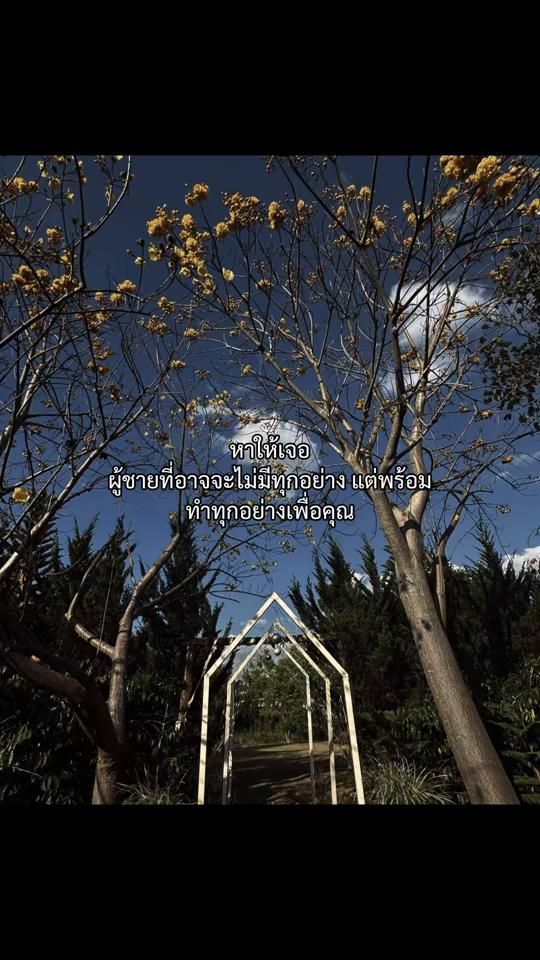 TikTok video thumbnail by urbancampkhaoyai