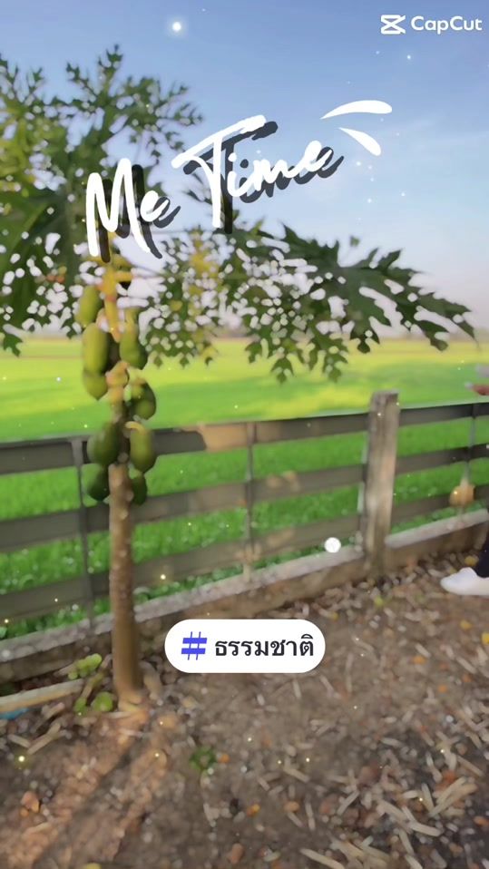 TikTok video thumbnail by pladook_solo