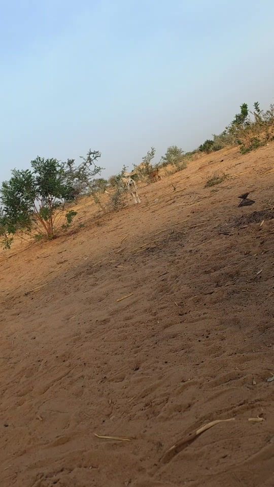TikTok video thumbnail by ag_te_ne_re