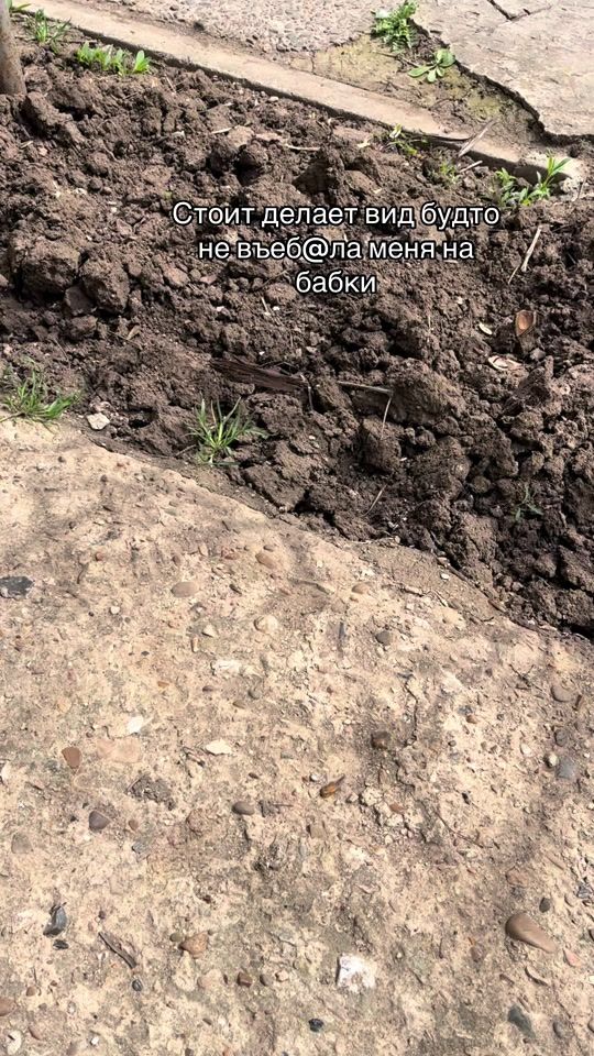 TikTok video thumbnail by denis.kasy