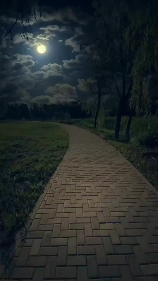TikTok video thumbnail by melodylove014