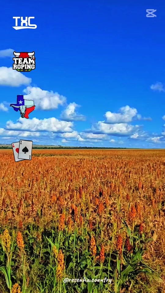 TikTok video thumbnail by bennygiesbrecht80