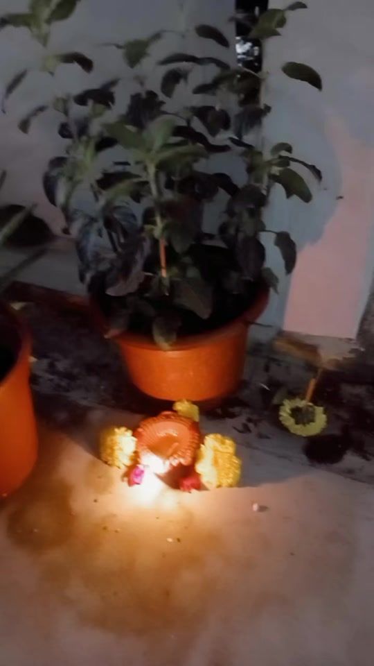 TikTok video thumbnail by s.p.k.m.1