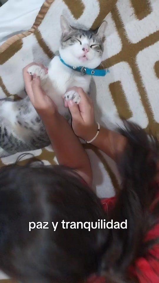 TikTok video thumbnail by maguiito5