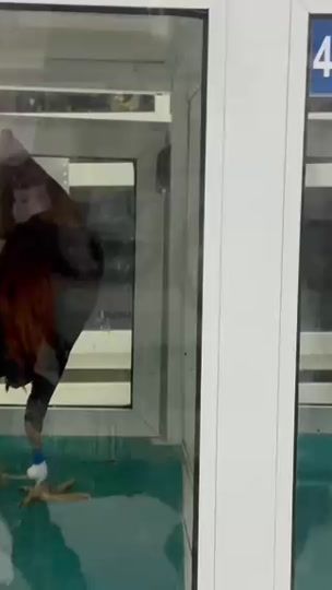 TikTok video thumbnail by galleriaone