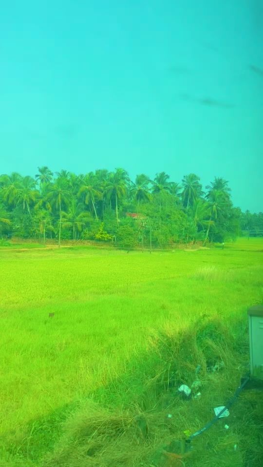 TikTok video thumbnail by moo0nlight12