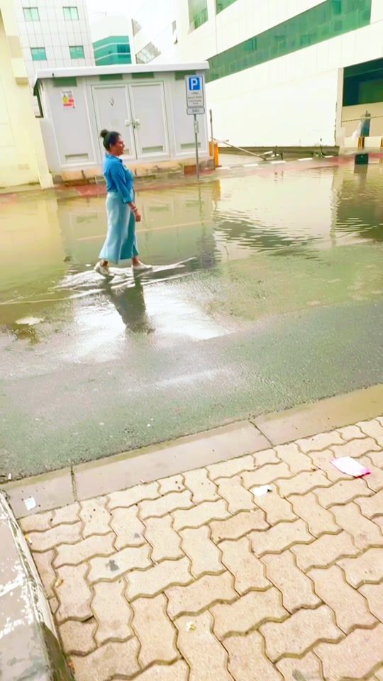 TikTok video thumbnail by seeniyaflower