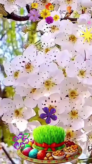 TikTok video thumbnail by elcinlacinli4