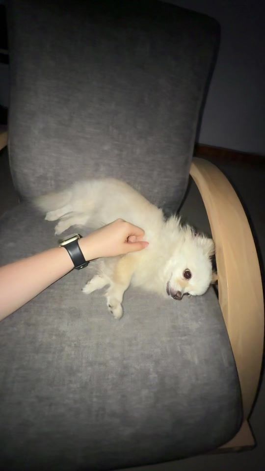 TikTok video thumbnail by kior12