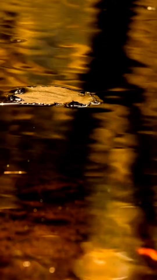 TikTok video thumbnail by fe_es_amor