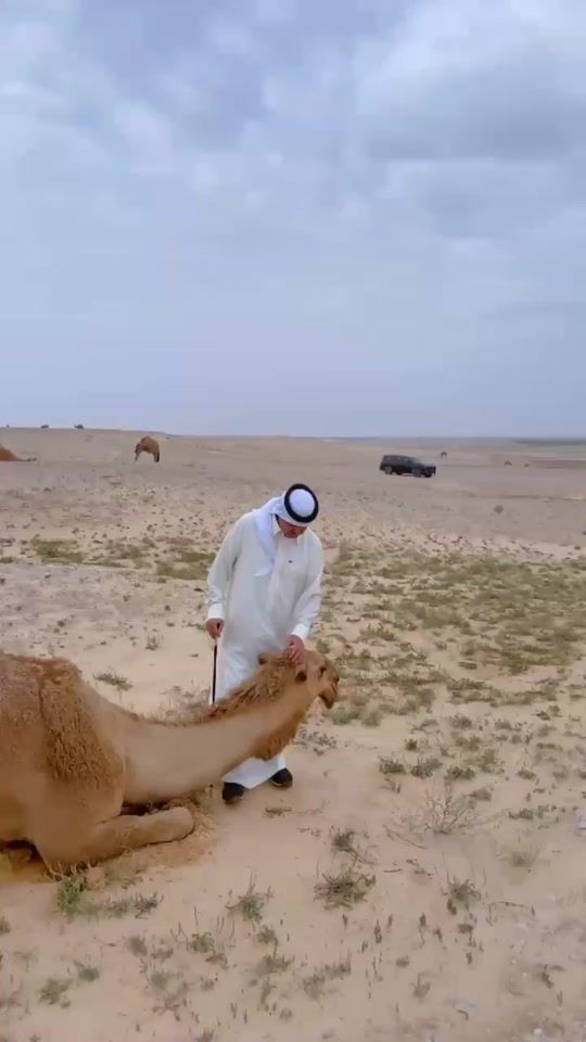TikTok video thumbnail by taaatll