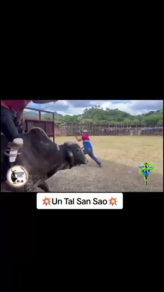 TikTok video thumbnail by sequeira862