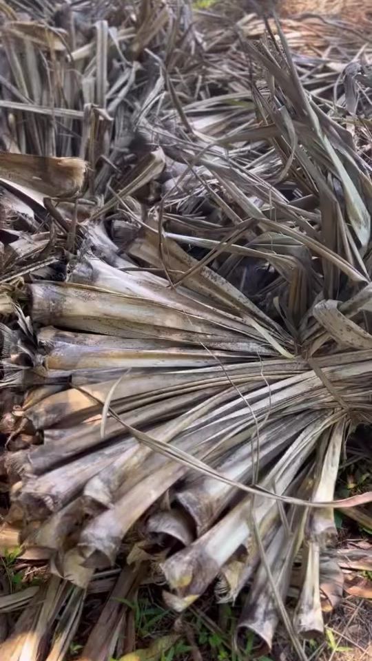 TikTok video thumbnail by wftourisme
