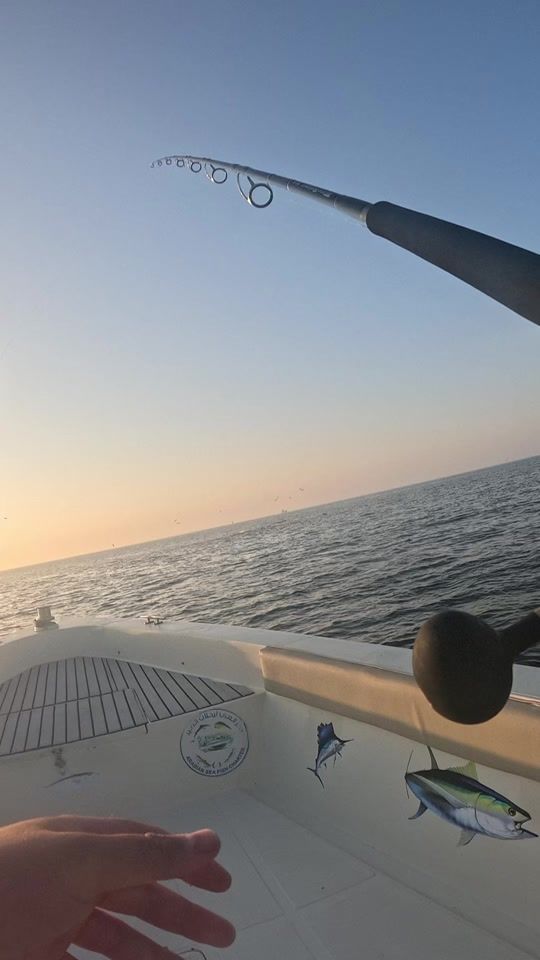 TikTok video thumbnail by dahoodfishing