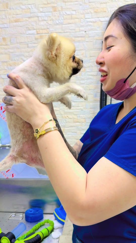 TikTok video thumbnail by marfectpetstore