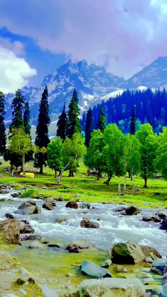 TikTok video thumbnail by msmalik855