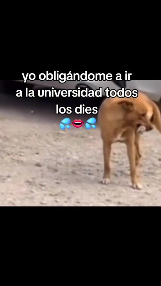 TikTok video thumbnail by pota_taxio